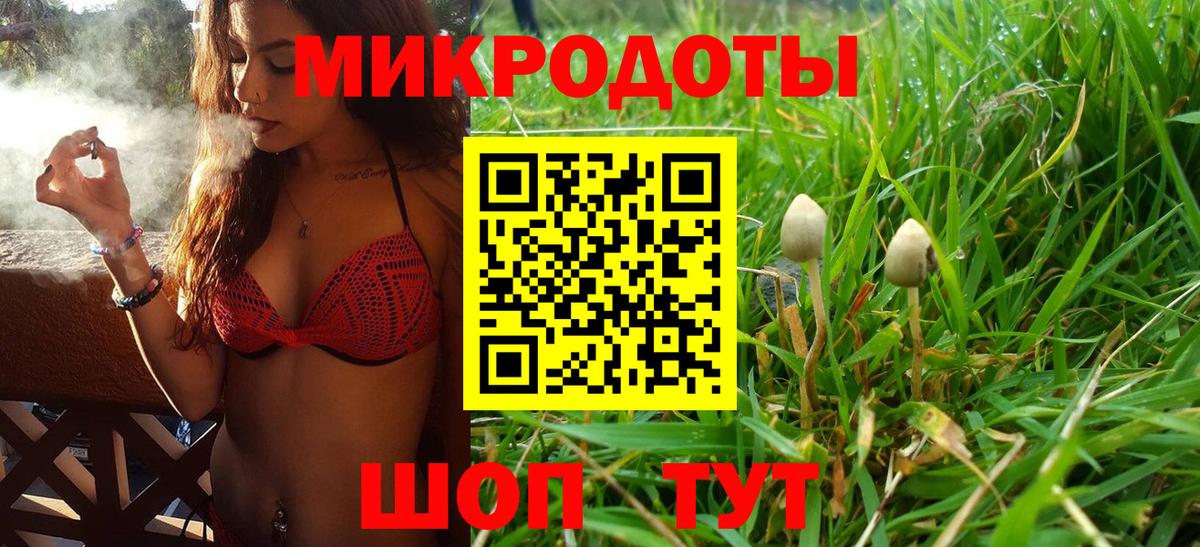 Псилоцибиновые грибы MAGIC MUSHROOMS Сибай