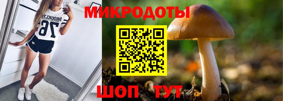 Сибай  Псилоцибиновые грибы прущие грибы  Вход с VPN 